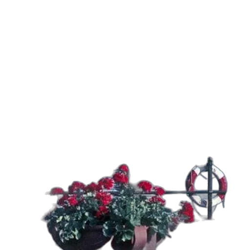 crown, jewelry, shoes, flower, 3d render, dark, picturesque, waterfront transparent PNG cut-out