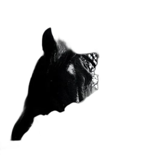 mask, animal, crown, hat, photorealistic, 3d render, concept art, pixel art transparent PNG cut-out