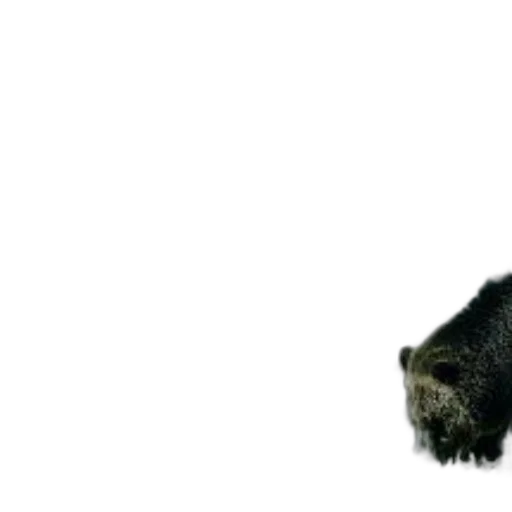 animal, creature, hair, staff, photorealistic, 3d render, concept art, grizzly transparent PNG cut-out