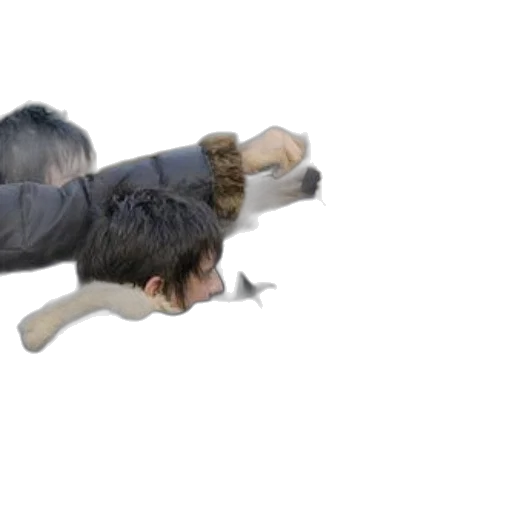 animal, creature, hair, dragon, concept art, 3d render, photorealistic, group transparent PNG cut-out