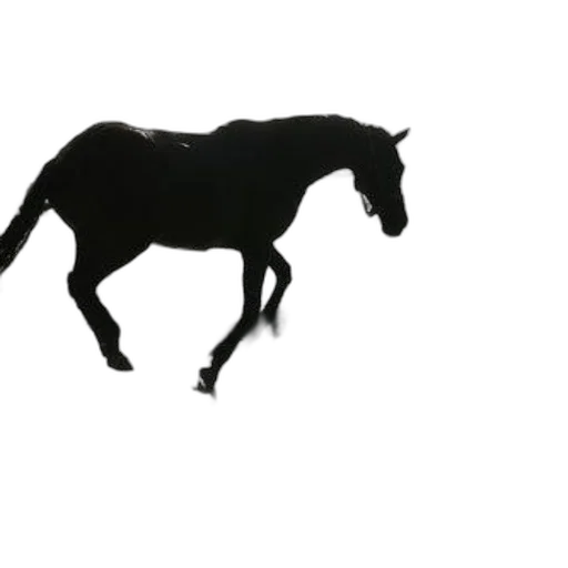 animal, creature, dragon, staff, photorealistic, 3d render, concept art, pixel art transparent PNG cut-out