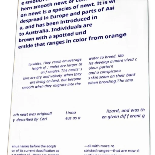 text-based, description, smooth, newt, including, color, variations, breeding transparent PNG cut-out