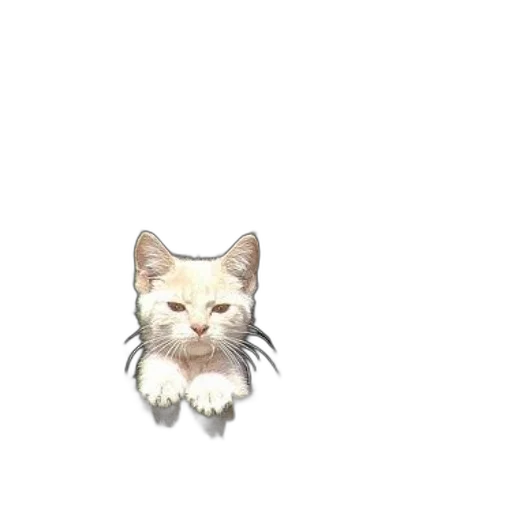 animal, creature, face, hair, pixel art, 3d render, photorealistic, concept art transparent PNG cut-out