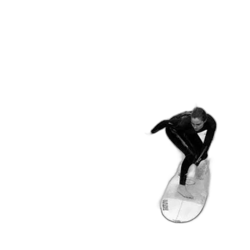 hair, animal, shoes, staff, photorealistic, monochrome, black, white transparent PNG cut-out
