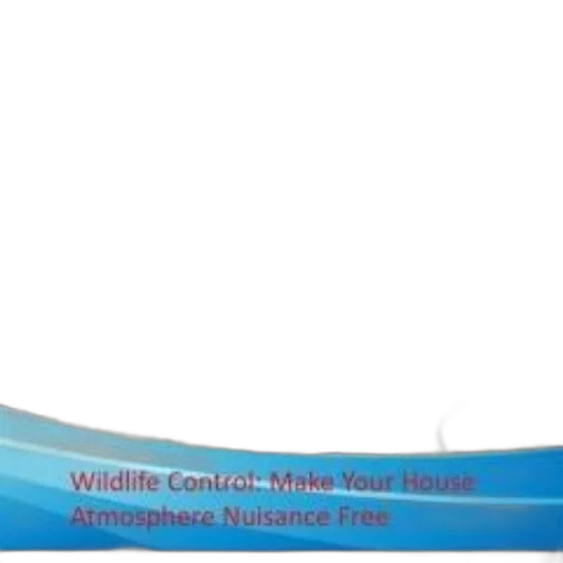 staff, crown, advertisement, wildlife, control, services, emphasizing, making transparent PNG cut-out