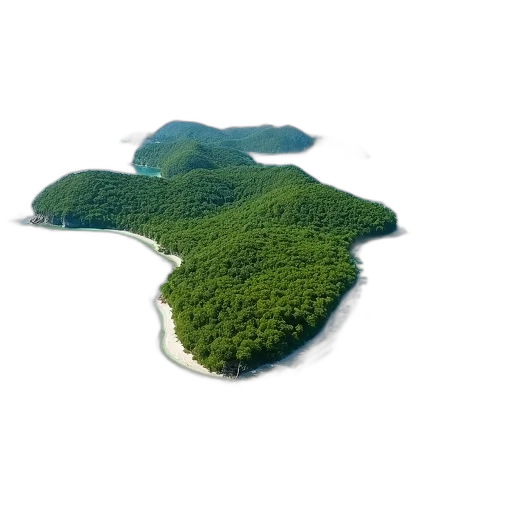 tree, crown, 3d render, concept art, photorealistic, green, vibrant, aerial transparent PNG cut-out