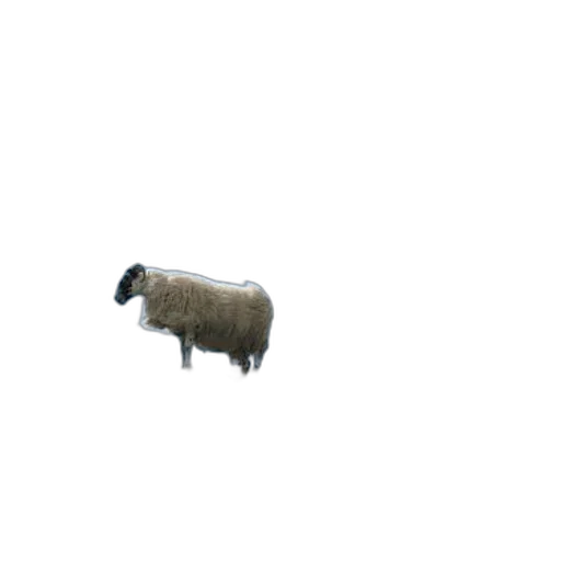 animal, creature, robot, weapon, pixel art, 3d render, concept art, photorealistic transparent PNG cut-out