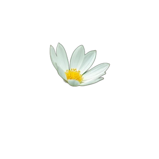flower, staff, crown, jewelry transparent PNG cut-out