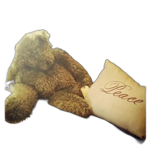 teddy, bear, sits, bench, next, pillow, says, peace transparent PNG cut-out