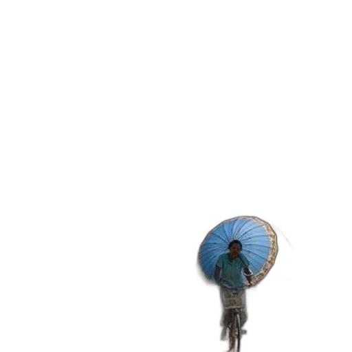 umbrella, staff, hat, jacket, concept art, 3d render, photorealistic, pixel art transparent PNG cut-out