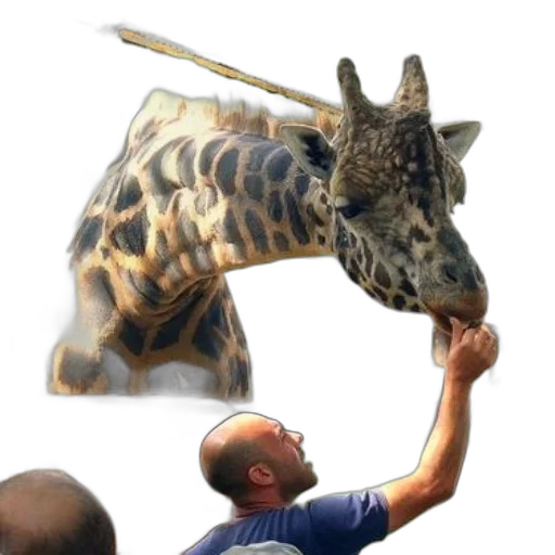 animal, creature, weapon, staff, concept art, photorealistic, 3d render, oil painting transparent PNG cut-out