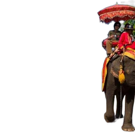 person, rides, elephant, near, pond, temple, background, under transparent PNG cut-out