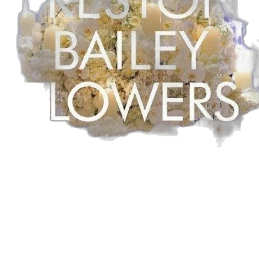 flower, jewelry, crown, earth tones, pastel, golden, cover, preston transparent PNG cut-out