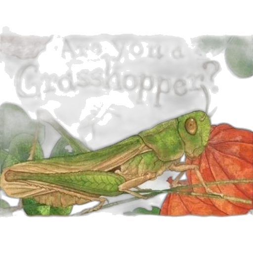 creature, dragon, photorealistic, watercolor, green, children, book, cover transparent PNG cut-out