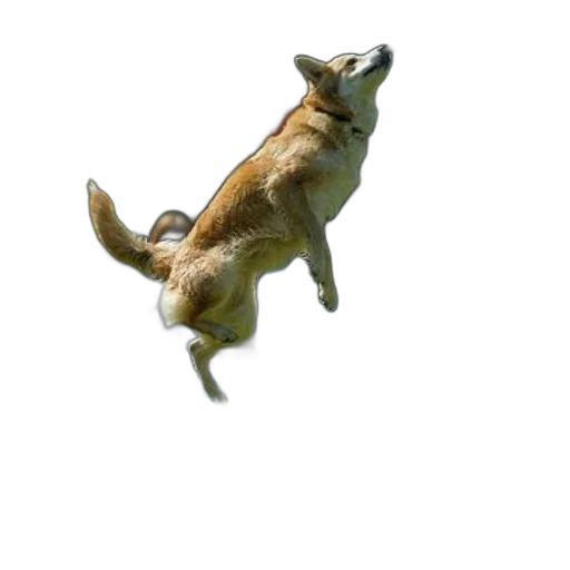 animal, creature, dragon, staff, 3d render, photorealistic, concept art, dog transparent PNG cut-out