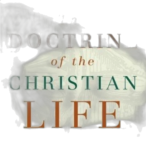 doctrine, christian, life, book, cover, light, background, featuring transparent PNG cut-out