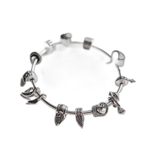 jewelry, crown, silver, bangle, bracelet, various, charms, displayed transparent PNG cut-out