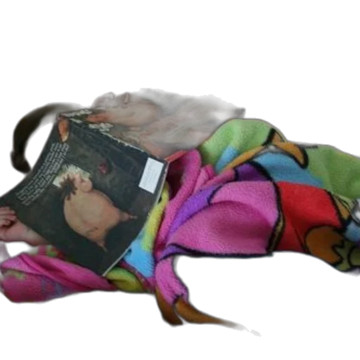 jacket, animal, creature, dress, photorealistic, child, sleeping, book transparent PNG cut-out