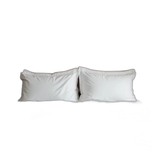 furniture, photorealistic, 3d render, monochrome, bed, two, pillows, unmade transparent PNG cut-out
