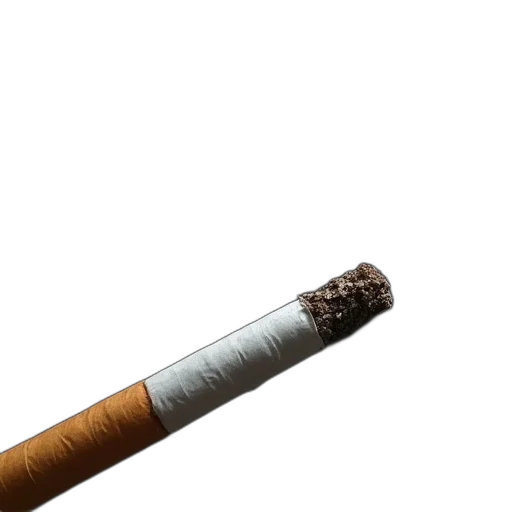 staff, weapon, umbrella, jacket, 3d render, photorealistic, earth tones, cigarettes transparent PNG cut-out