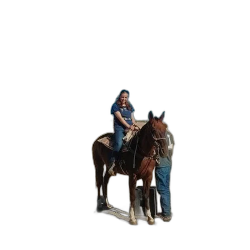 animal, staff, car, creature, pixel art, photorealistic, 3d render, oil painting transparent PNG cut-out