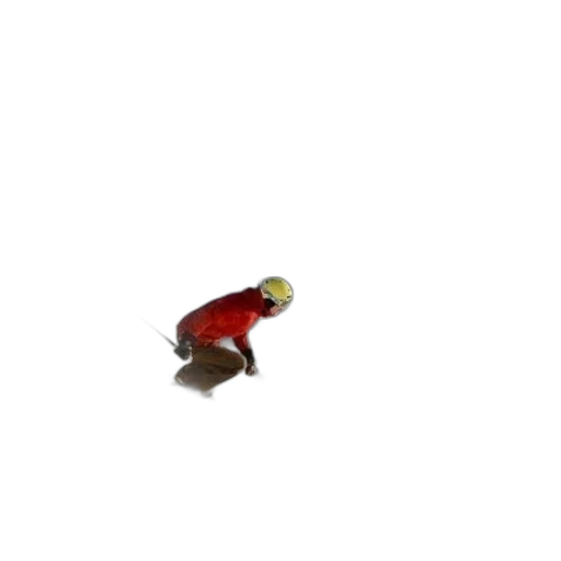 creature, robot, animal, staff transparent PNG cut-out