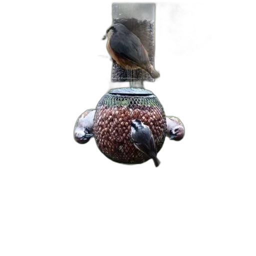 jewelry, bottle, staff, crown, 3d render, photorealistic, collage, birds transparent PNG cut-out