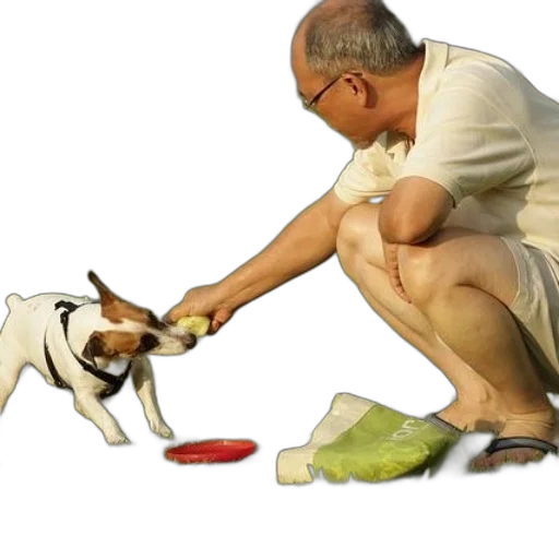 shoes, staff, animal, food, photorealistic, oil painting, man, white transparent PNG cut-out