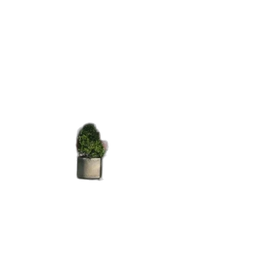 tree, furniture, flower, crown, 3d render, pixel art, photorealistic, concept art transparent PNG cut-out