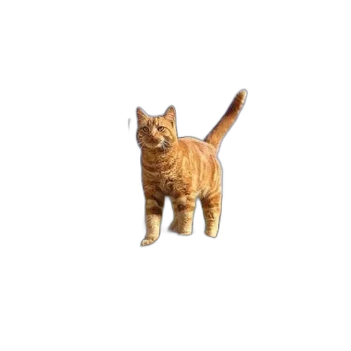 animal, staff, creature, weapon, pixel art, photorealistic, 3d render, concept art transparent PNG cut-out