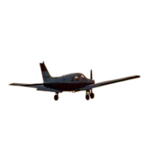 animal, 3d render, photorealistic, small, airplane, silhouetted, against, sunset transparent PNG cut-out
