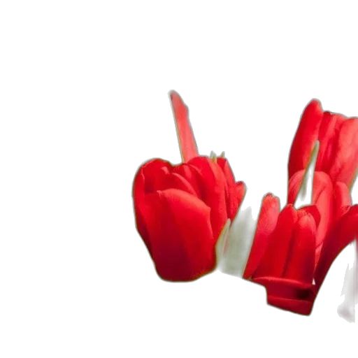 flower, weapon, food, crown, 3d render, photorealistic, concept art, fire transparent PNG cut-out