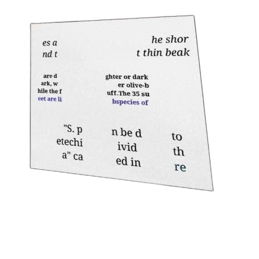 jacket, robot, text-based, image, discussing, characteristics, bird, species transparent PNG cut-out