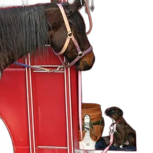 furniture, horse, dog, red, trailer transparent PNG cut-out