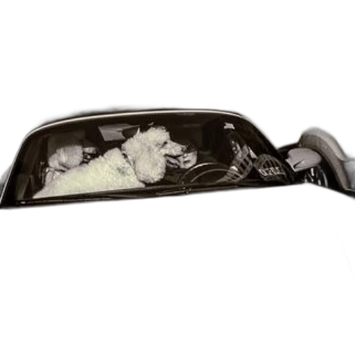 car, mask, shoes, face transparent PNG cut-out