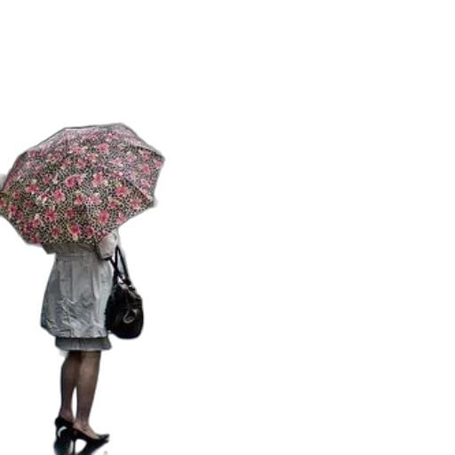 umbrella, dress, hat, jacket transparent PNG cut-out