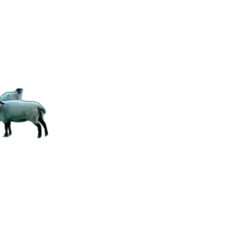 animal, creature, car, robot transparent PNG cut-out