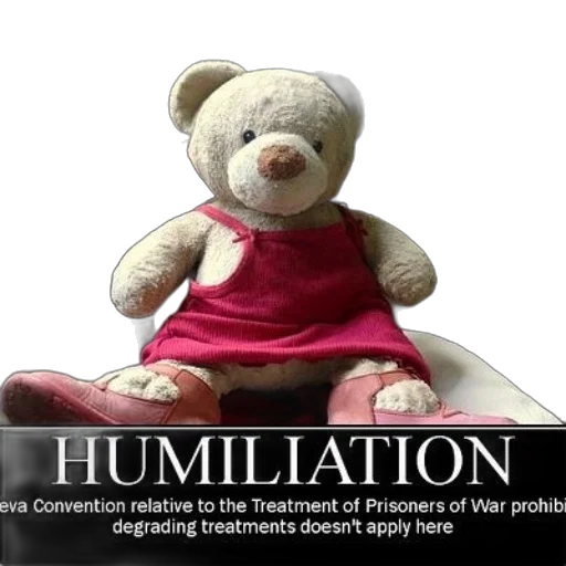 teddy, bear, dressed, pink, dress, shoes, captioned, humiliation transparent PNG cut-out