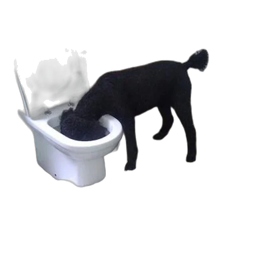 animal, creature, staff, food, 3d render, photorealistic, concept art, black transparent PNG cut-out