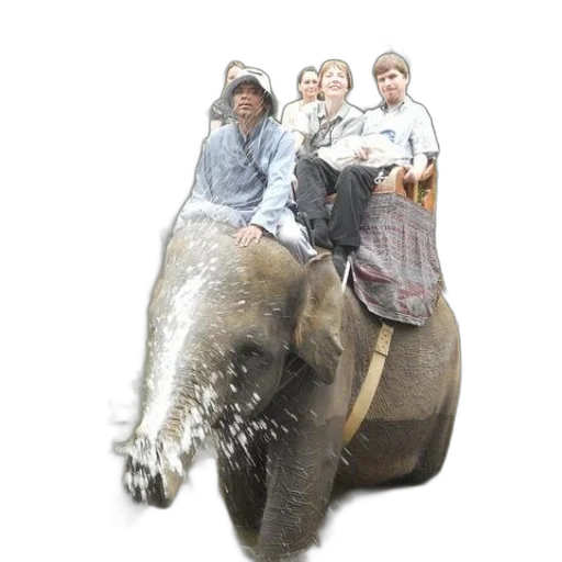 animal, hat, staff, weapon, photorealistic, concept art, group, people transparent PNG cut-out