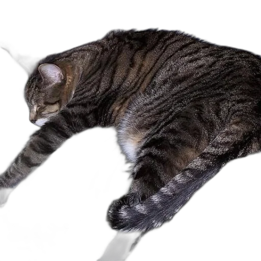 animal, staff, creature, weapon, photorealistic, 3d render, monochrome, striped transparent PNG cut-out