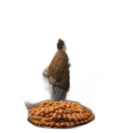 food, hat, animal, creature transparent PNG cut-out