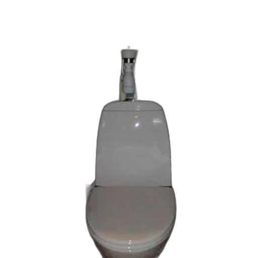 bottle, staff, crown, jewelry, 3d render, photorealistic, white, toilet transparent PNG cut-out