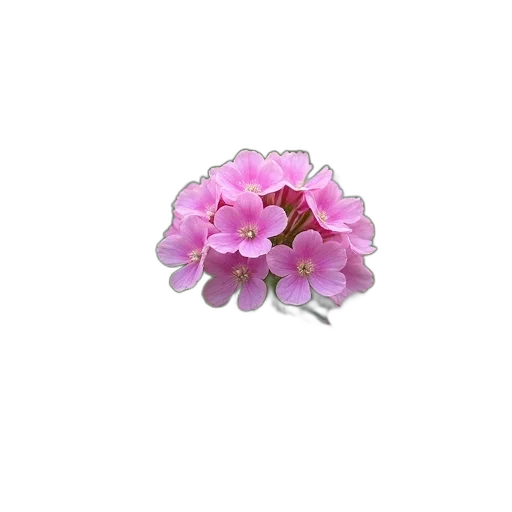jewelry, flower, crown, staff, 3d render, photorealistic, vaporwave, pastel transparent PNG cut-out