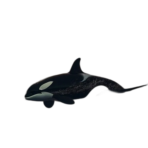 animal, creature, weapon, shoes, 3d render, concept art, photorealistic, pixel art transparent PNG cut-out