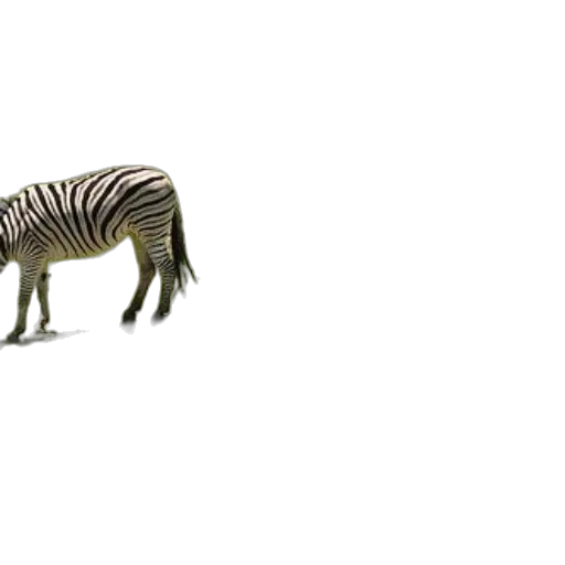 animal, creature, dragon, hair, concept art, 3d render, pixel art, watercolor transparent PNG cut-out
