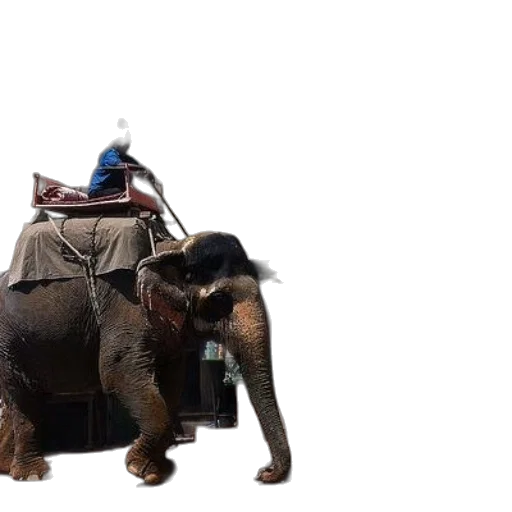 animal, robot, hat, staff, concept art, 3d render, photorealistic, elephant transparent PNG cut-out