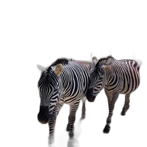 animal, creature, shoes, furniture, 3d render, photorealistic, concept art, monochrome transparent PNG cut-out