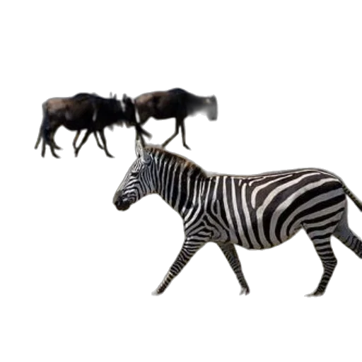 animal, furniture, creature, jewelry, concept art, 3d render, photorealistic, forest transparent PNG cut-out