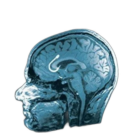 crown, mask, jewelry, face, 3d render, concept art, photorealistic, porn transparent PNG cut-out